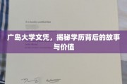 广岛大学文凭，探寻学历背后的传奇与价值
