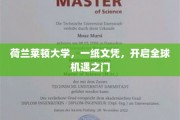荷兰莱顿大学文凭，解锁国际广阔舞台