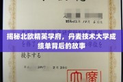 探寻丹麦技术大学非凡成就的神秘面纱