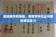 解码狮城精英，新加坡管理学学位认证背后的实力风采