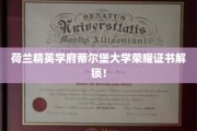 蒂尔堡大学荣耀时刻，精英学子成就展翅新篇章
