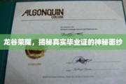 龙谷传奇，揭开毕业证书背后的神秘之光