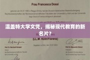 温盖特大学文凭，现代教育变革下的新象征？