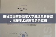 探索布鲁奈尔大学成绩单的奥秘，揭开学术成就的神秘面纱