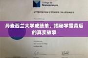 揭秘学霸风云，丹麦西兰大学成绩单背后的真实传奇