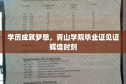 学历铸就辉煌，青山学院毕业证闪耀职场新篇章