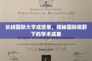 长崎国际大学成绩单大揭秘，国际视角下的学术成就一览