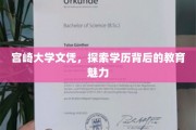 宫崎大学文凭，解码学历之光，探寻教育非凡魅力