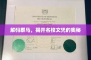 探寻群马名校，揭秘学历背后的力量