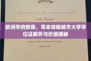 欧洲学府新宠，哥本哈根城市大学学位证解析与价值揭秘