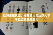 意韵学位证书，比萨大学欧洲认证下的独特光彩