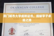 澳门城市大学证书见证，学子卓越成长轨迹