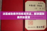 威勒精英护照，法国商学院引领全球商业新纪元