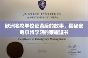 揭开欧洲精英学府，安哈尔特学院学位证的传奇之旅