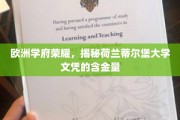 荷兰蒂尔堡大学，欧洲教育瑰宝，探索其学位的全球认可价值