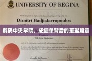 中央学院辉煌背后，揭秘学子卓越成绩的秘籍之路