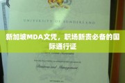 新加坡MDA文凭，开启国际化职场大门的黄金钥匙