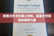 解码新西兰怀卡托理工学院，文凭背后的教育魅力