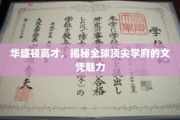 解码精英摇篮，华盛顿高才解读世界名校文凭价值