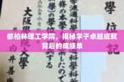 都柏林理工学院学子卓越背后的惊人成绩单，揭秘成长之路！