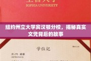 揭开纽约州立大学宾汉顿分校文凭背后的神秘面纱