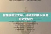 解码狮城精英，新加坡国立大学文凭的独特吸引力