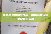 荷兰蒂尔堡大学揭秘，成绩单背后的独特魅力之旅