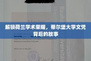 揭秘蒂尔堡大学，荷兰学术明珠的文凭传奇之旅
