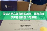 佐贺大学荣耀之路，探索学历背后的奋斗历程