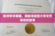 德意志学术瑰宝，探寻海德堡大学文凭背后的传奇历程