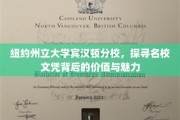 解码纽约州立大学宾汉顿分校，名校光环下的教育精髓与人生机遇