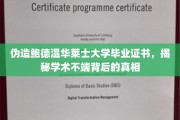 冒名顶替鲍德温华莱士学位，揭秘学术欺诈背后的惊人内幕