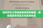 解码纽约州立大学，成绩单背后的学术力量与未来无限可能