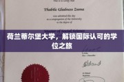 跨国学位奥秘，蒂尔堡大学带你领略国际教育风采