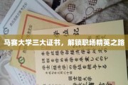 马赛大学三证在手，职场精英之路一马平川