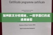 加州学霸的秘密档案，一探加州欧文分校高分背后的故事