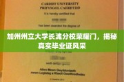 加州长滩分校荣耀之门，一睹毕业证书的独特风采