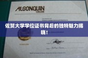 佐贺大学证书，揭开学位背后的非凡故事