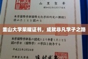 釜山大学荣耀证书见证，非凡学子的璀璨征程