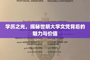 世明大学文凭，揭秘现代教育的璀璨明珠及其价值所在
