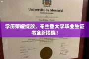 布兰登大学荣耀瞬间，毕业生证书华丽登场