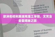 探寻利莫瑞克理工学院，欧洲名校文凭的黄金价值之旅