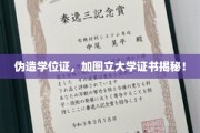 伪造学历风波，揭秘加图立大学假证书背后的真相