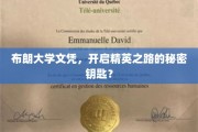 布朗大学文凭，解锁精英殿堂的神秘钥匙