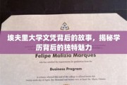 探寻埃夫里大学文凭背后的传奇，揭秘学历的独特魅力之旅