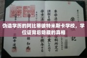 揭秘学历造假背后的阿比蒂彼特米斯卡学校，学位证背后的惊人真相！