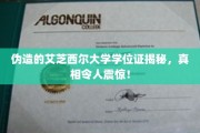 揭露假艾芝西尔学位证背后真相，名校光环下的暗流涌动