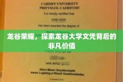 龙谷学府，揭秘文凭背后的传奇力量