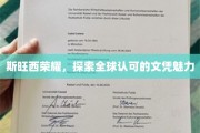 斯旺西荣耀，揭秘国际文凭的全球认可与独特魅力