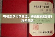 精英通行证，布鲁奈尔大学文凭的神秘魅力